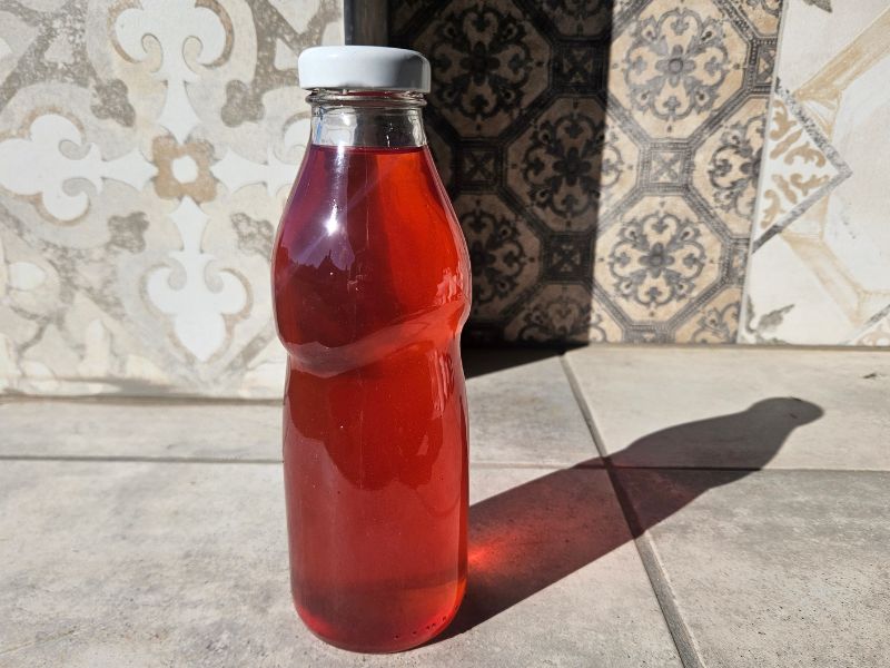 A bodzaszörp házilag mindenki kedvence lett