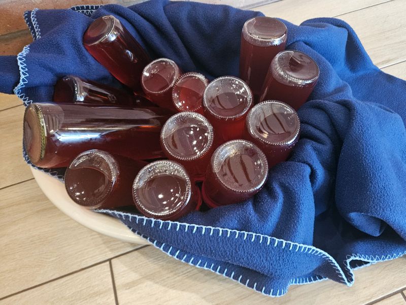 Dunsztba tettem pár napra. A bodzaszörp házilag mindenki kedvence lett.